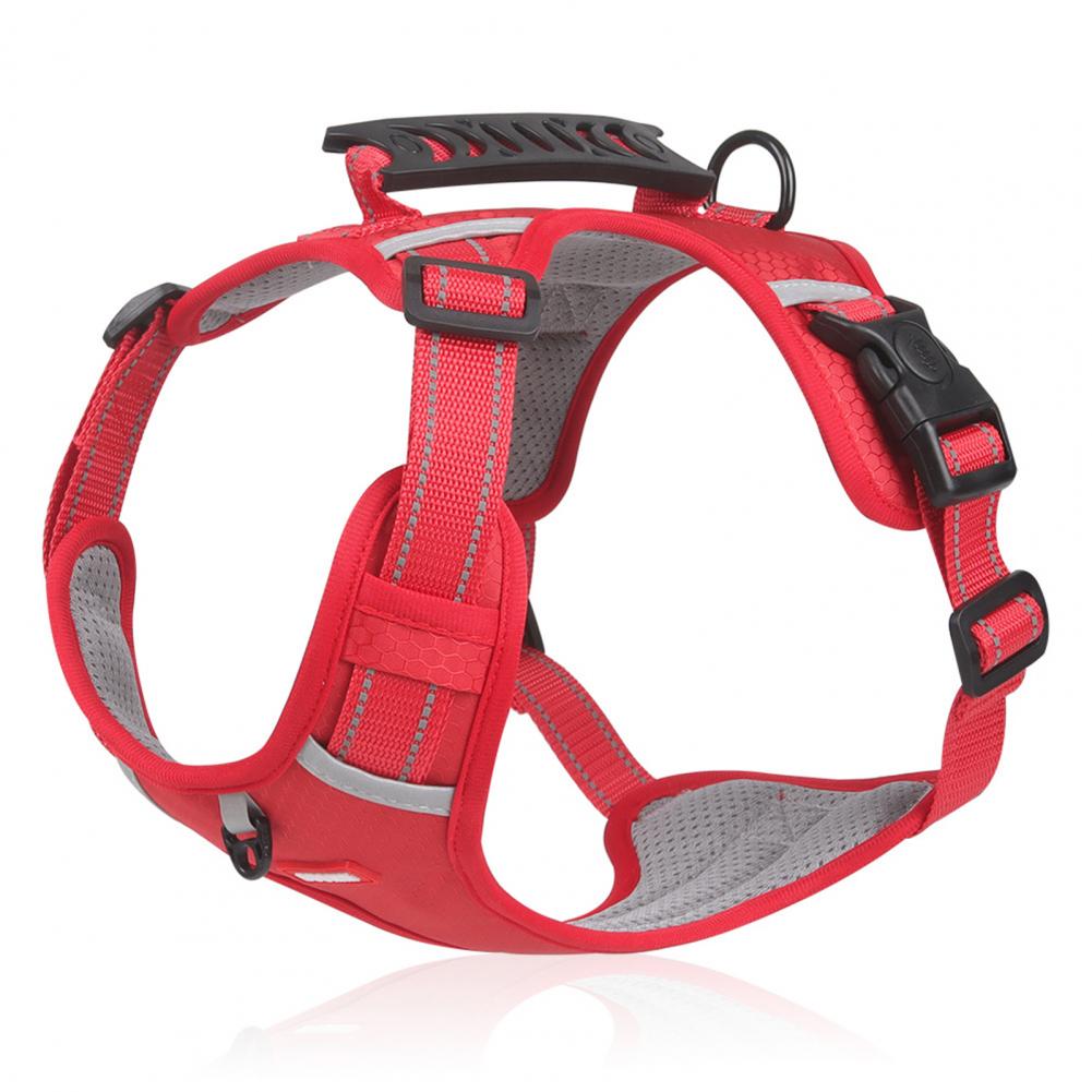 Arnés para Perros Antitirones – Transpirable y Reflectante No Pull « Dog Harness – Breathable & Reflective for Safe Walking »