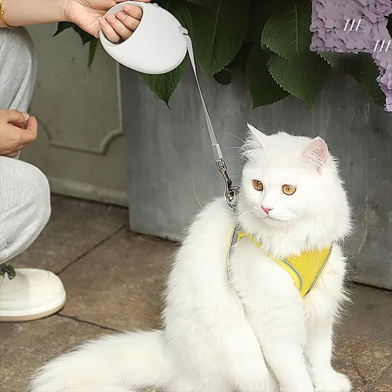 Dog Leash For Small Medium Dogs Cat Retractable Nylon Rope Puppy Walking Roulette Traction Lead Pet Dog Accessories