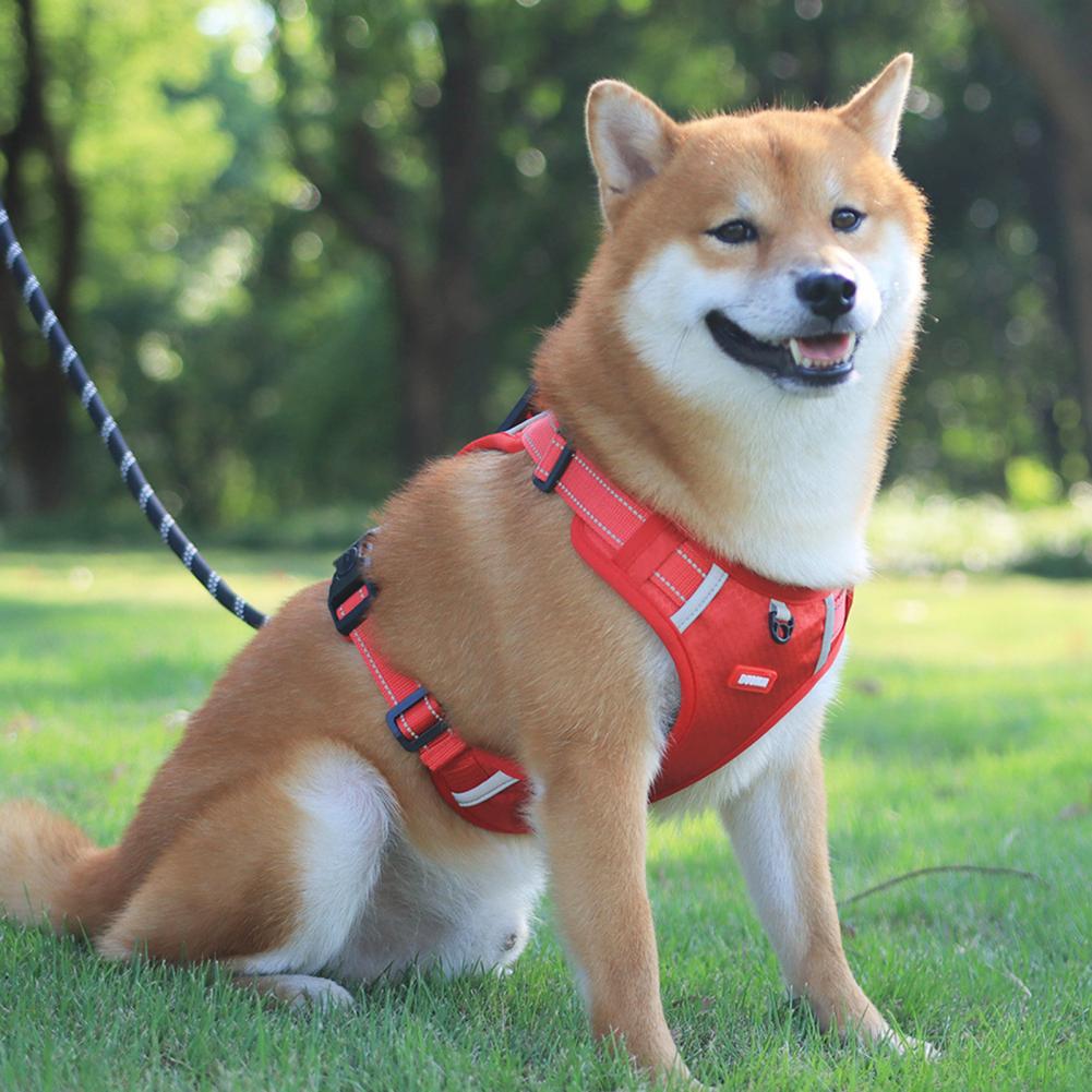 Arnés para Perros Antitirones – Transpirable y Reflectante No Pull « Dog Harness – Breathable & Reflective for Safe Walking »