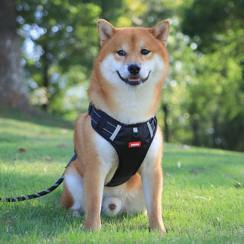 Arnés para Perros Antitirones – Transpirable y Reflectante No Pull « Dog Harness – Breathable & Reflective for Safe Walking »